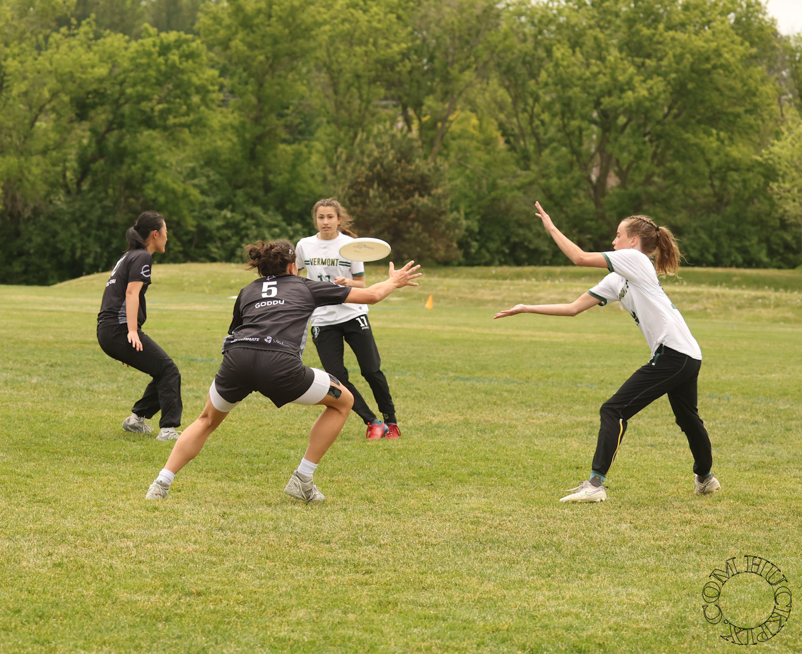 Chania